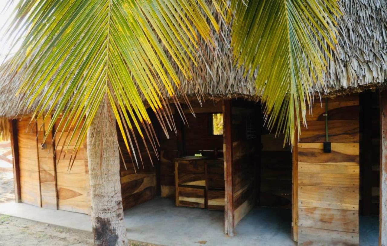 Proyecto Clandestino Campsite