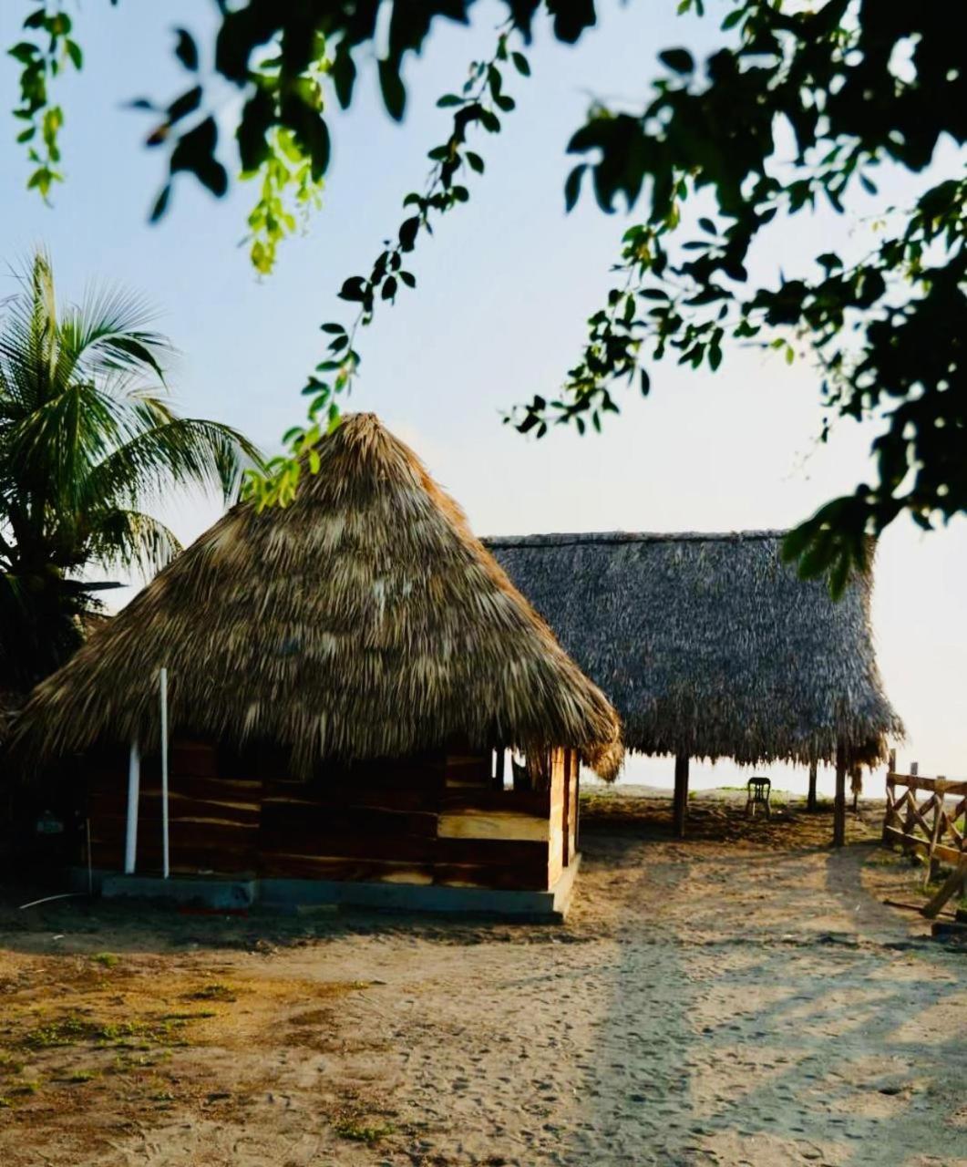 Proyecto Clandestino Boca del Cielo