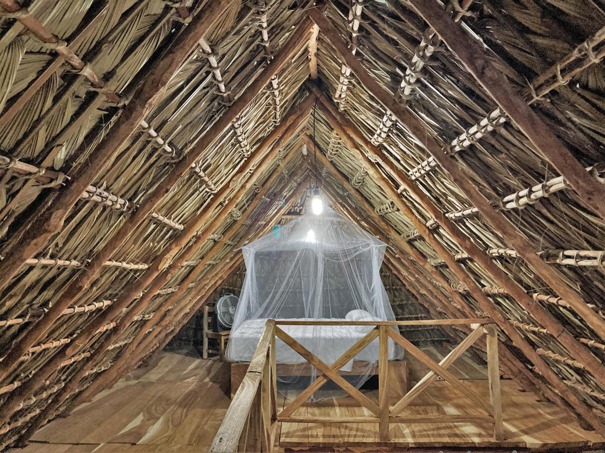 Campsite Proyecto Clandestino *
